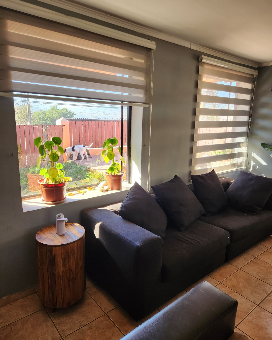 Mueble dispensador de agua roble oscuro en living — Bannt Chile